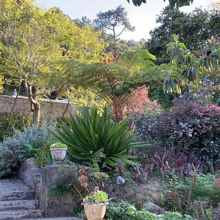 Private - Fall Retreat At Quinta Do Griffo Villa *