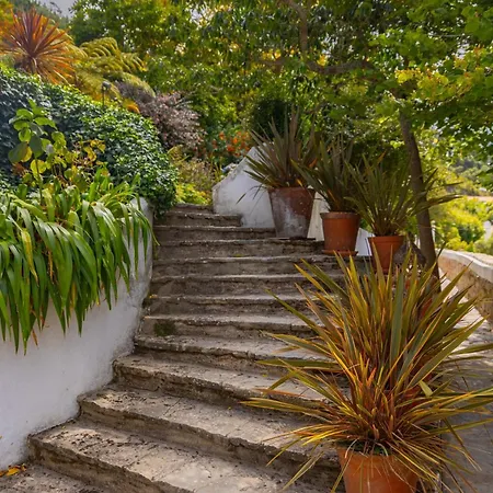 Private - Fall Retreat At Quinta Do Griffo Villa Colares