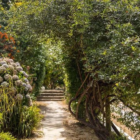 Private - Fall Retreat At Quinta Do Griffo * Colares